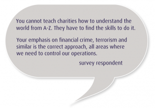 Survey respondent quote